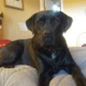 Meet your Posher, Lorraine